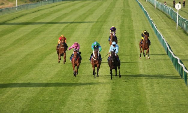 PROFORM Weds: Nottingham NAP