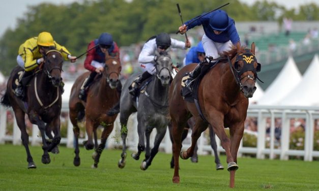 SHAMROCK Sun: Curragh NAP