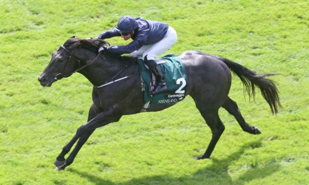 SHAMROCK Sun: NAPPING A DOUBLE