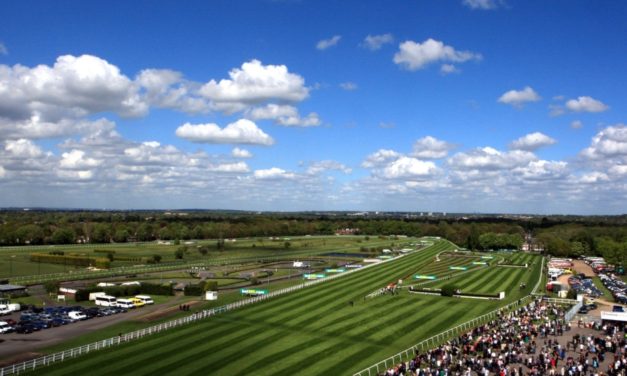 DAQMAN Sun: Sandown NAP