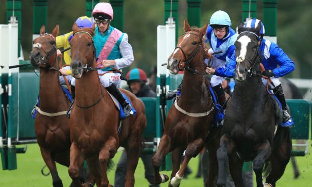 PROFORM Mon: Yarmouth NAP
