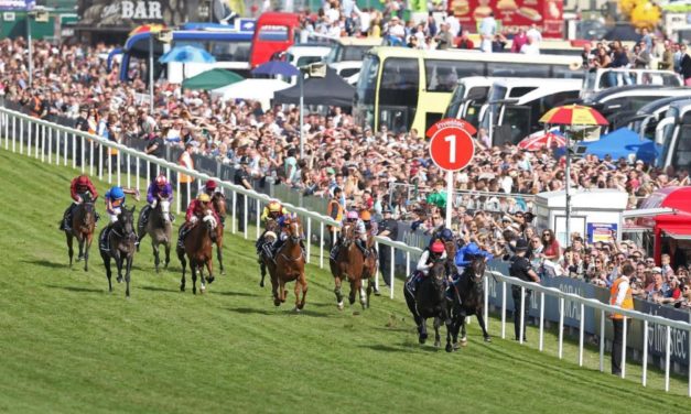 DAQMAN Weds: The Derby ABC GUIDE