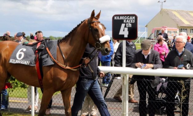 SHAMROCK Mon: Kilbeggan NAP