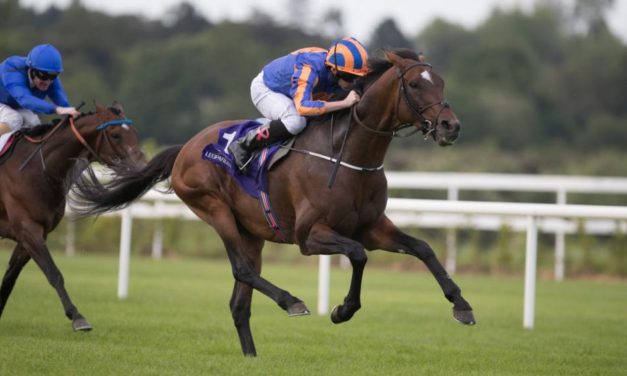 SHAMROCK Weds: Ascot boost for St George
