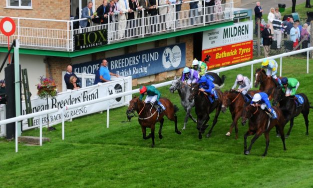 PROFORM Weds: Salisbury NAP