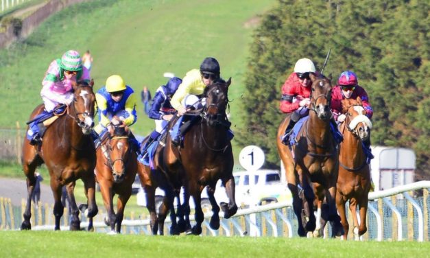 PROFORM Tues: Brighton NAP