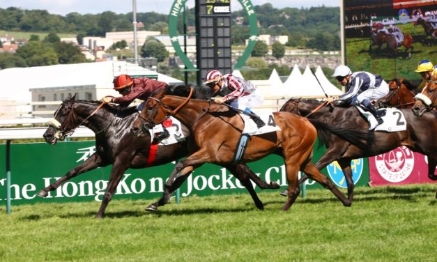 DAQMAN Sun: Deauville NAP