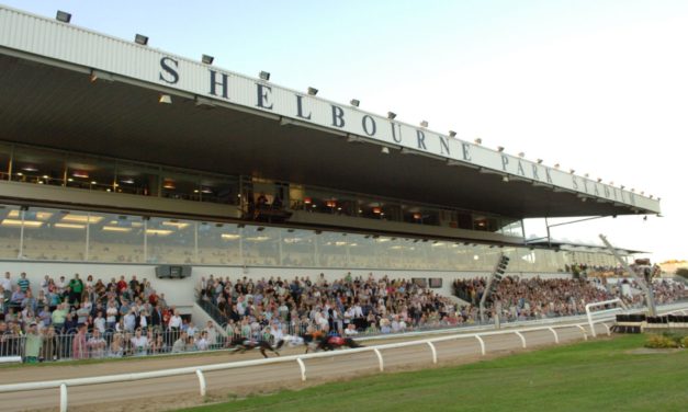 SARAH KINSELLA: From Shelbourne Park to Portugal