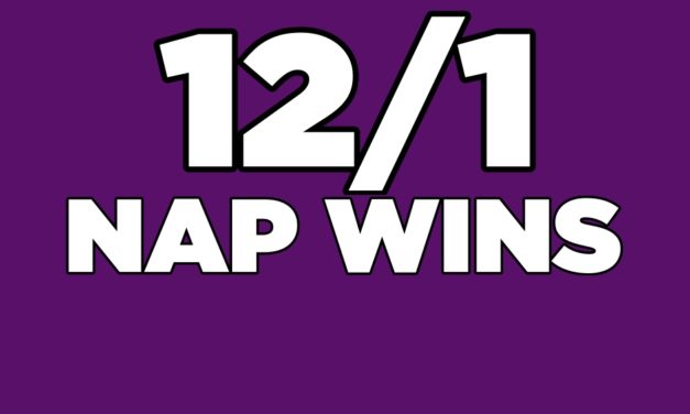 DAQMAN Mon: Ripon NAP