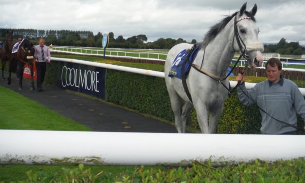 PROFORM Tues: Tipperary NAP