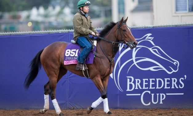 DAQMAN Sat: Del Mar Breeders’ Cup SUPERNAP