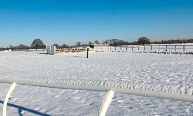 DAQMAN Thurs: And they’re off…