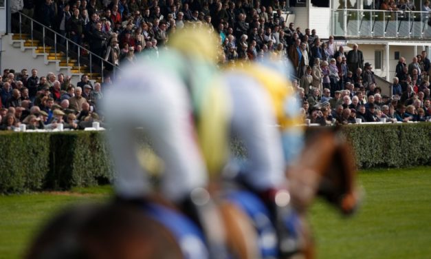 PROFORM Sun: Wincanton NAP