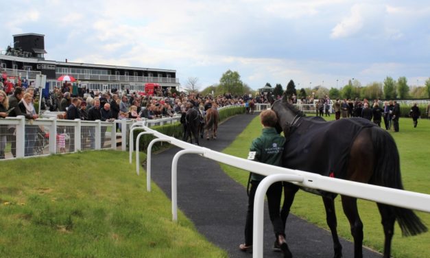 PROFORM Thurs: Market Rasen NAP