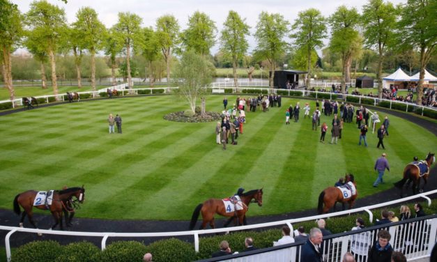 PROFORM Mon: Windsor NAP