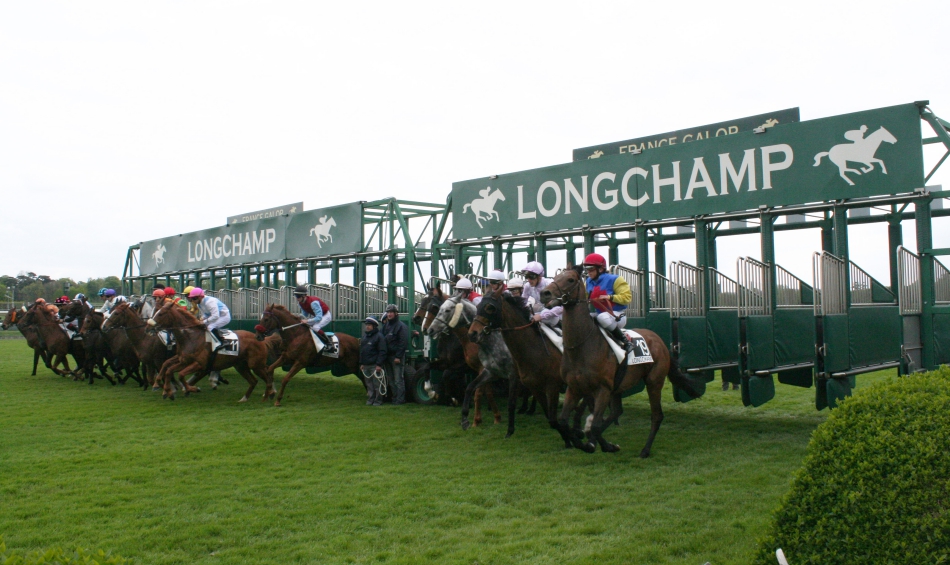 DAQMAN Sat: Longchamp SUPERNAP