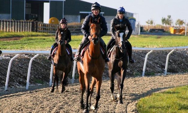 HARRY WHITTINGTON: Bigmartre bouncing ahead of Cheltenham