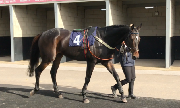 HARRY WHITTINGTON: Dry October means plans on hold