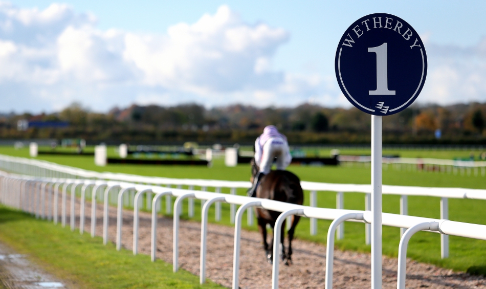 PROFORM Thurs: Wetherby NAP