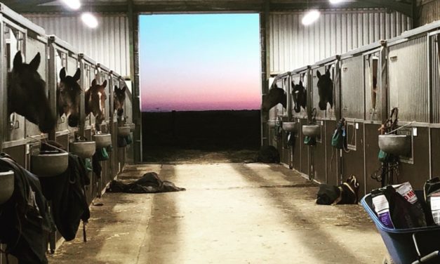 HARRY WHITTINGTON: “Rain needed for Saint Calvados”