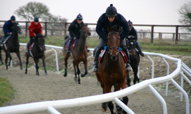 HARRY WHITTINGTON BLOG: Big Newbury date for Bigmartre