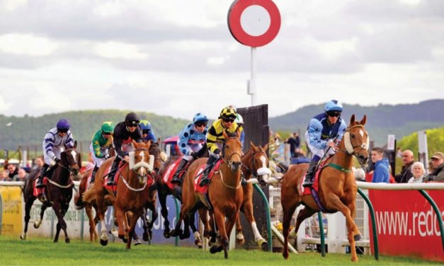 PROFORM Tues: Redcar NAP