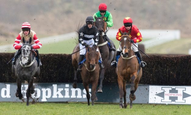 PROFORM Mon: Ffos Las NAP