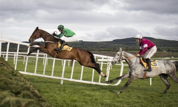 SHAMROCK Sun: Naas NAP