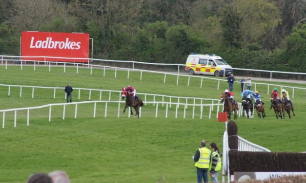 SHAMROCK Mon: Punchestown NAP