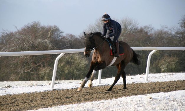 HARRY WHITTINGTON: BHA were in a no-win situation