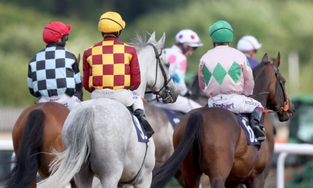 PROFORM Thurs: Chelmsford NAP