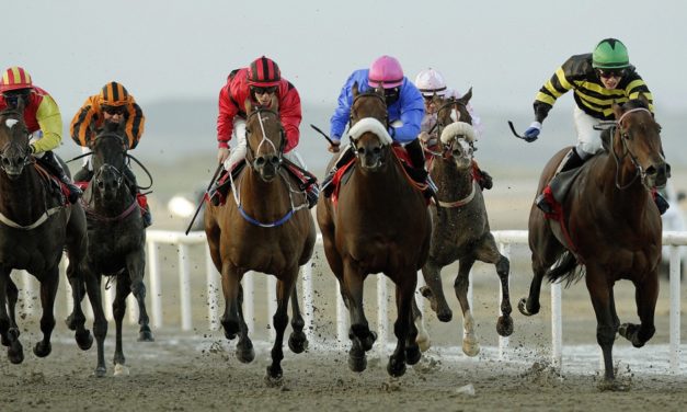 SHAMROCK Weds: Dundalk ‘PLACE NAP’