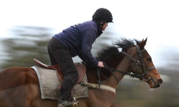 DAQMAN Mon: Now 7 NAPS IN 9 DAYS !!