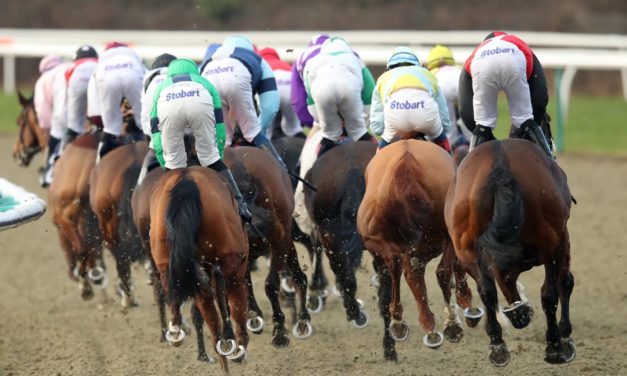 DAQMAN Mon: Lingfield NAP