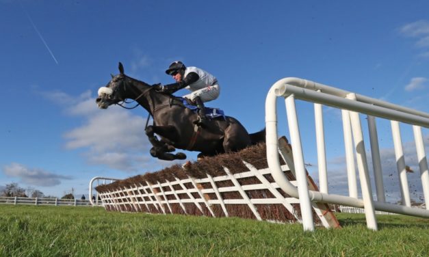 SHAMROCK Sat: Naas NAP