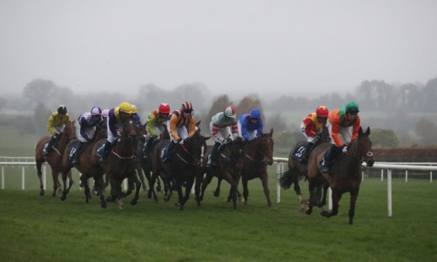 PROFORM Sun: Navan NAP