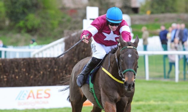 SHAMROCK Weds: BID FOR 8 WINNING NAPS IN A ROW !!!