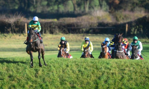 DAQMAN Sun: Punchestown SUPERNAP