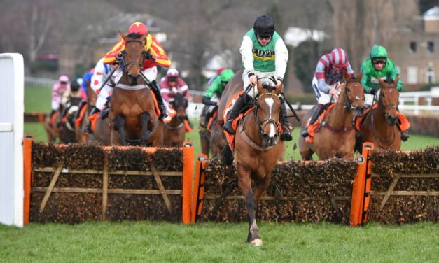 PROFORM Sun: Sandown NAP