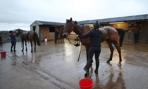 DAQMAN Fri: Dundalk NAP