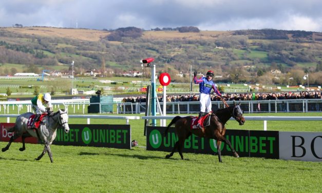 DAQMAN Weds: Cheltenham Festival Day Two
