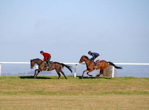 HARRY WHITTINGTON: Yard form a big positive ahead of Cheltenham