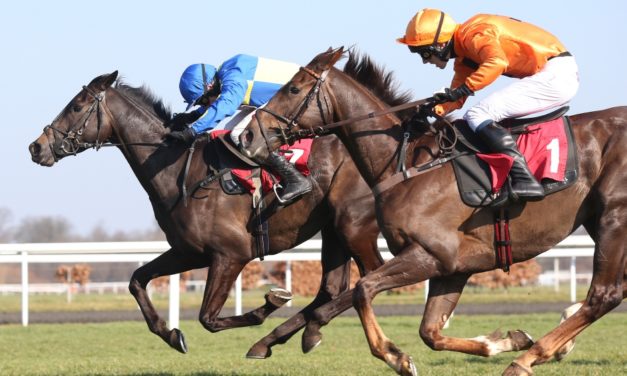 PROFORM Sat: Kempton NAP