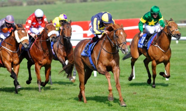 DAQMAN Sun: Naas SUPERNAP