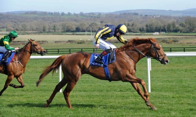 PROFORM Sun: Naas NAP