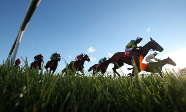 SHAMROCK Sun: NAAS NAP