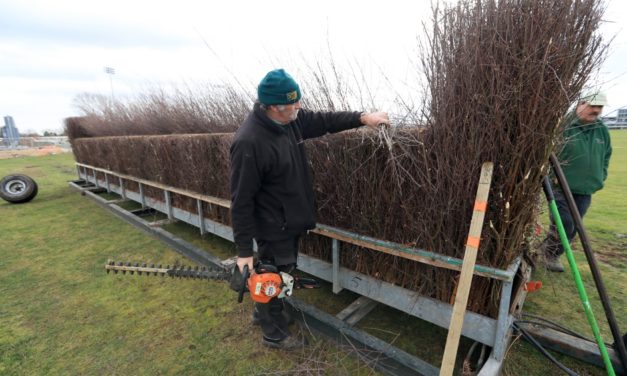 PROFORM Mon: Southwell NAP