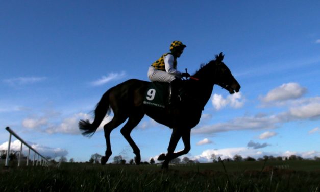 PROFORM Sun: Cork NAP