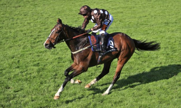 PROFORM Weds: EPSOM NAP