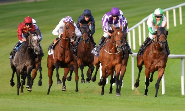 SHAMROCK Weds: Leopardstown NAP